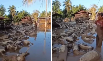 Tangis peternak aceh saat temukan kambingnya tewas terendam banjir