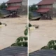 Terpisah dengan istri karena terbawa arus, pria ini tetap tegar selamatkan tetangga dan bayinya berjalan di atap rumah