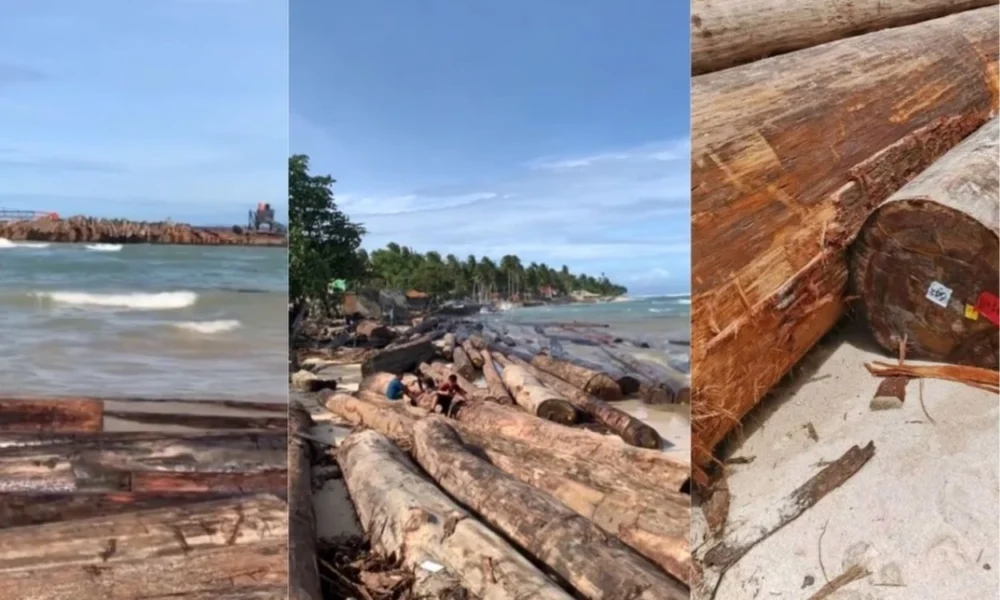 Terungkap! kapal pengangkut gelondongan kayu yang terdampar di lampung ada kop kemenhut