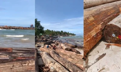 Terungkap! kapal pengangkut gelondongan kayu yang terdampar di lampung ada kop kemenhut