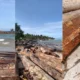 Terungkap! kapal pengangkut gelondongan kayu yang terdampar di lampung ada kop kemenhut