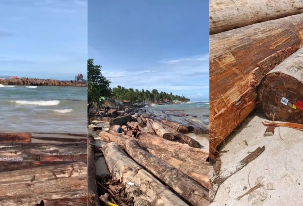 Terungkap! kapal pengangkut gelondongan kayu yang terdampar di lampung ada kop kemenhut