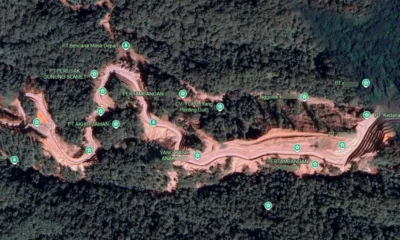 Titik gundul di gunung slamet jadi sorotan