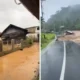 Update korban banjir longsor sumatra 950 jiwa meninggal dunia, 274 orang masih hilang
