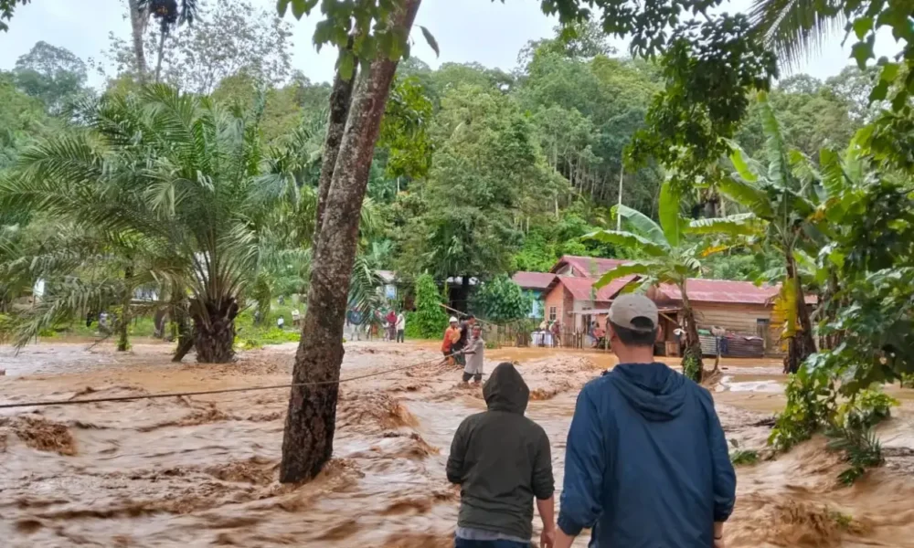 Update korban banjir longsor sumut dari bpbd 1 desember 2025