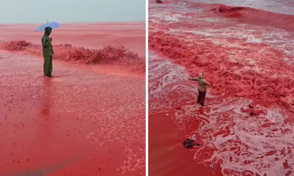 Viral! pantai hormuz iran berubah jadi warna merah, ini penyebabnya