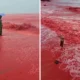 Viral! pantai hormuz iran berubah jadi warna merah, ini penyebabnya
