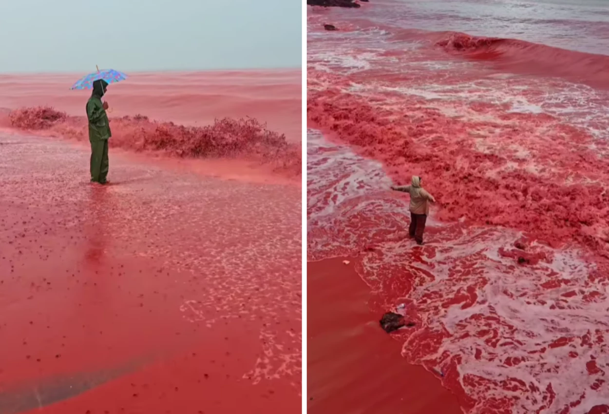 Viral! pantai hormuz iran berubah jadi warna merah, ini penyebabnya