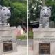 Viral! patung macan putih di kediri jadi sorotan, dinilai tak mirip oleh warganet
