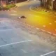Viral! pemotor 21 tahun tewas terlindas transjakarta di jaksel