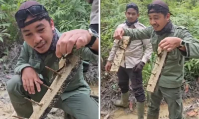 Viral! ranjau paku terlihat bertebaran di taman nasional tesso nilo