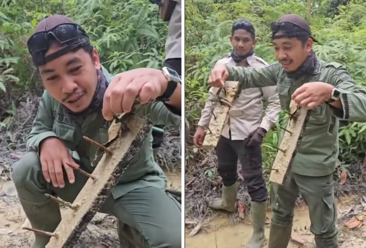 Viral! ranjau paku terlihat bertebaran di taman nasional tesso nilo