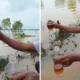 Viral! warga temukan genangan air diduga bercampur solar usai banjir bandang di aceh tamiang