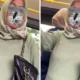 Viral di sosmed! penumpang transjakarta dimaki ibu ibu karena tak berikan kursinya