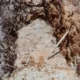 Waduh! ada tambang emas ilegal dekat taman nasional komodo