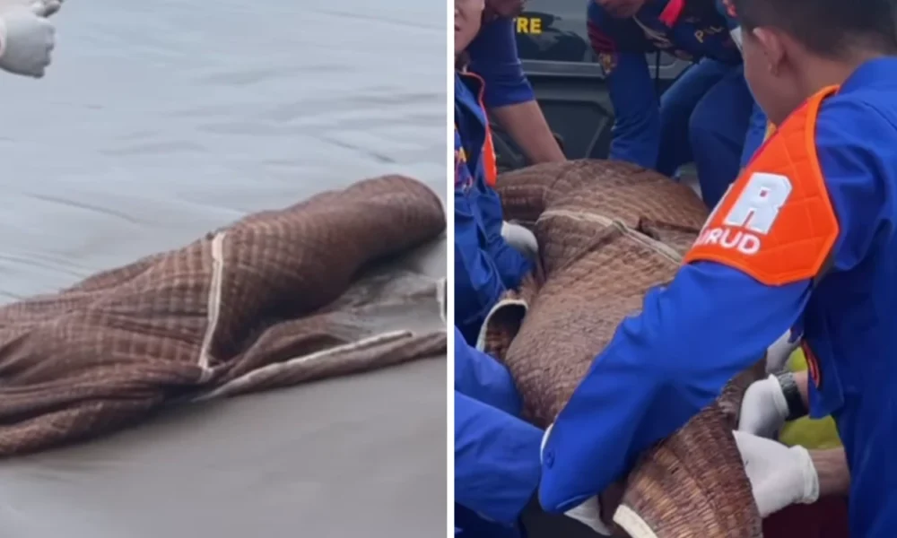 Wisatawan tewas usai loncat dari bangkai kapal viking di pantai pangandaran