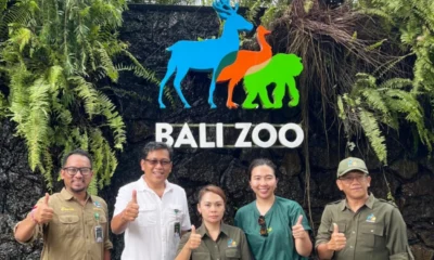 Bali zoo resmi setop aktivitas gajah tunggang mulai bulan ini