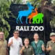 Bali zoo resmi setop aktivitas gajah tunggang mulai bulan ini