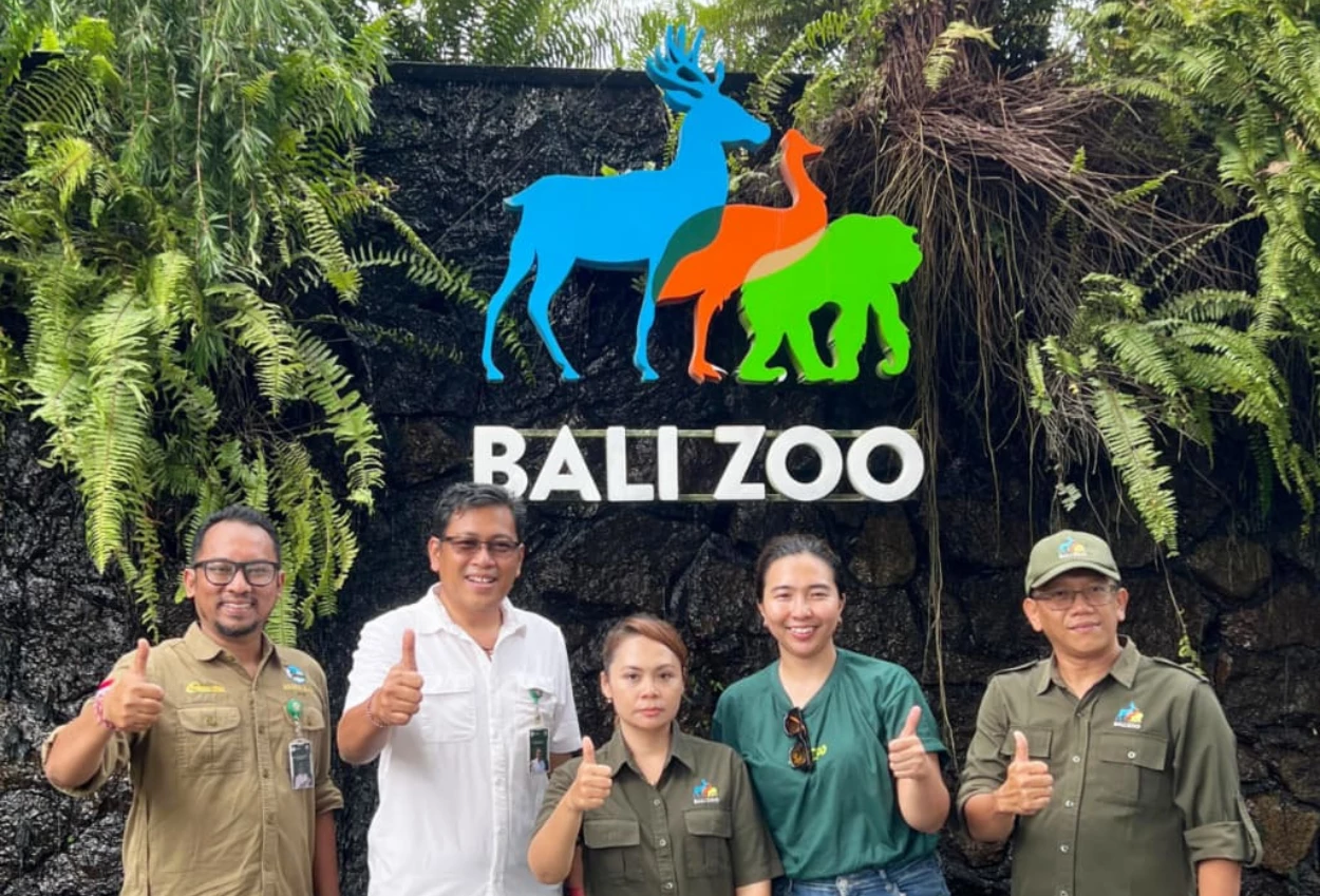 Bali zoo resmi setop aktivitas gajah tunggang mulai bulan ini
