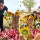 Baru bisa pulang, farah dibba kakak lula lahfah ziarah ke makam sang adik