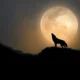 Fenomena wolf moon akan hiasi langit 3 4 januari 2026, apakah terlihat di indonesia