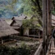 Kampung baduy dalam tutup akses untuk wisatawan selama 3 bulan, ada apa