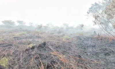 Karhutla di aceh barat makin ganas, lahap 10 hektare lahan