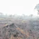 Karhutla di aceh barat makin ganas, lahap 10 hektare lahan