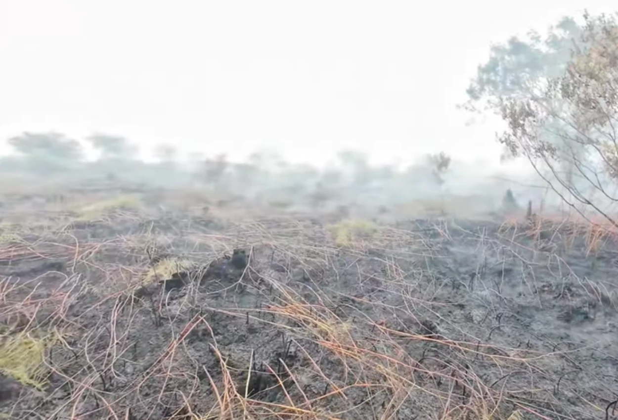 Karhutla di aceh barat makin ganas, lahap 10 hektare lahan