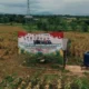 Ladang jagung hasil tanam wapres gibran di tigaraksa panen! hasil capai 2 ton
