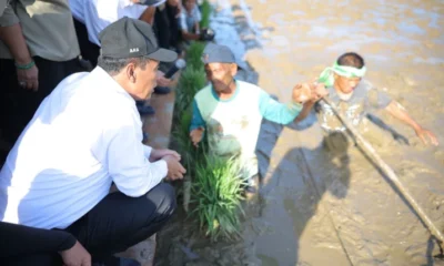 Pemerintah akan beri insentif untuk petani yang perbaiki sawah sendiri di aceh utara