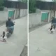 Viral! bocah sd di medan terseret motor ratusan meter demi pertahankan hp nya dari jambret