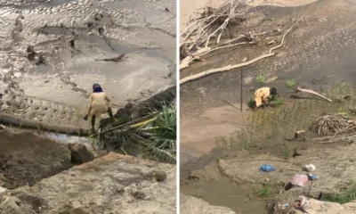 29 Desa Hilang dan 94 Ribu Ha Sawah Rusak Imbas Bencana Aceh Sumatra