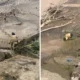29 Desa Hilang dan 94 Ribu Ha Sawah Rusak Imbas Bencana Aceh Sumatra