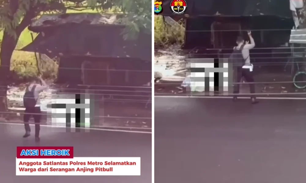 Aksi Heroik Polisi Selamatkan Lansia dari Serangan Anjing Liar di Lampung