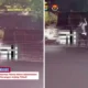 Aksi Heroik Polisi Selamatkan Lansia dari Serangan Anjing Liar di Lampung