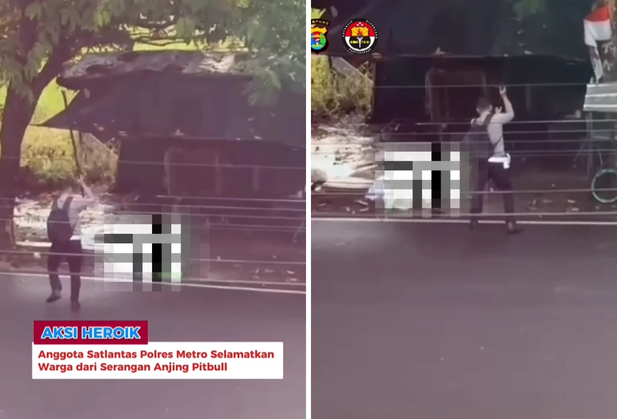Aksi Heroik Polisi Selamatkan Lansia dari Serangan Anjing Liar di Lampung