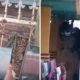 Geger! Macan Tutul Masuk Desa di Bandung, Dua Orang Terluka