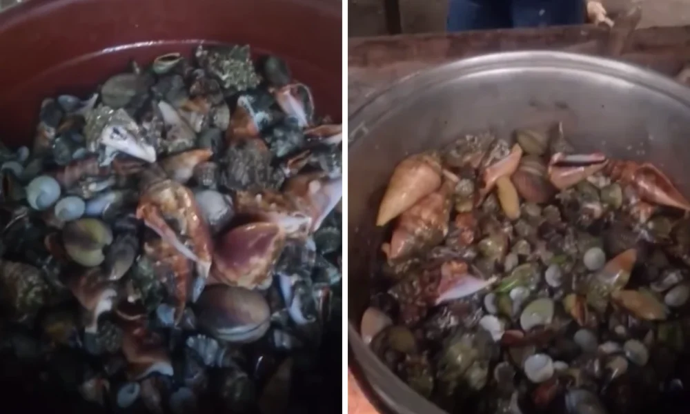 Influencer Filipina Meninggal usai Mukbang Kepiting Beracun