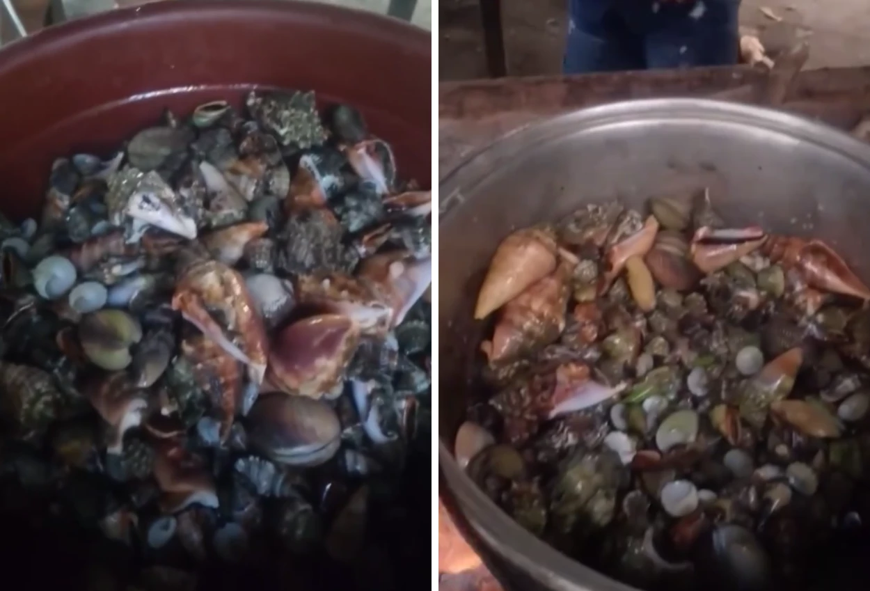 Influencer Filipina Meninggal usai Mukbang Kepiting Beracun
