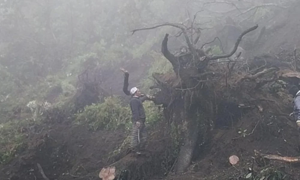 Kawasan Bromo Longsor Sejumlah Kendaraan Tertimbun, Akses Wisata Tertutup