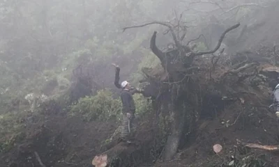 Kawasan Bromo Longsor Sejumlah Kendaraan Tertimbun, Akses Wisata Tertutup