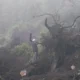 Kawasan Bromo Longsor Sejumlah Kendaraan Tertimbun, Akses Wisata Tertutup