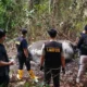 Kemenhut dan Polisi Selidiki Dugaan Perburuan yang Tewaskan Gajah di Sumatra