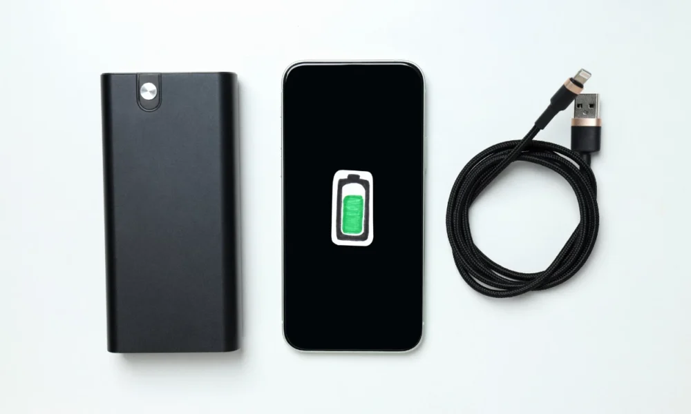 Mulai April 2026, Jepang Larang Penumpang pakai Powerbank selama Penerbangan (2)
