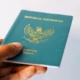Paspor RI Kini Bisa Tembus 88 Negara Tanpa Urus Visa