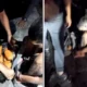 Polisi Gagalkan Perederan 15 Kg Heroin di Sumatra Utara