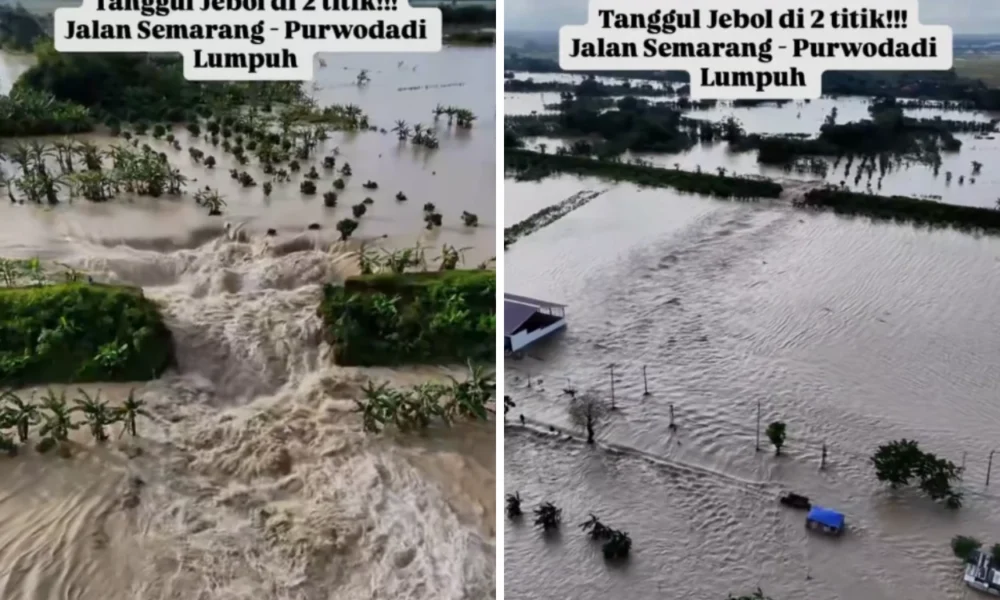 Tanggul Sungai Tuntang Jebol, Puluhan Desa di Grobogan Terdampak Banjir
