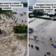 Tanggul Sungai Tuntang Jebol, Puluhan Desa di Grobogan Terdampak Banjir