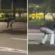 Terekam Video, Pria Bertopeng Curi Marka Jalan Mata Kucing di Cawang